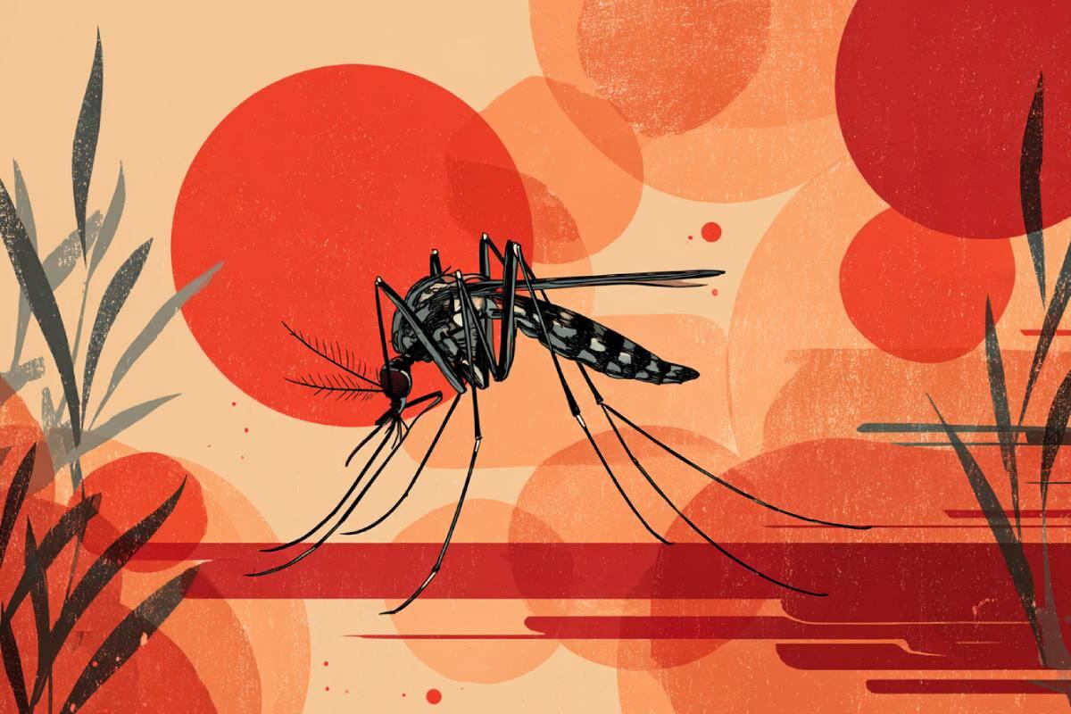 Dengue, chikungunya y zika en Colombia: síntomas, prevención y cuándo acudir al médico